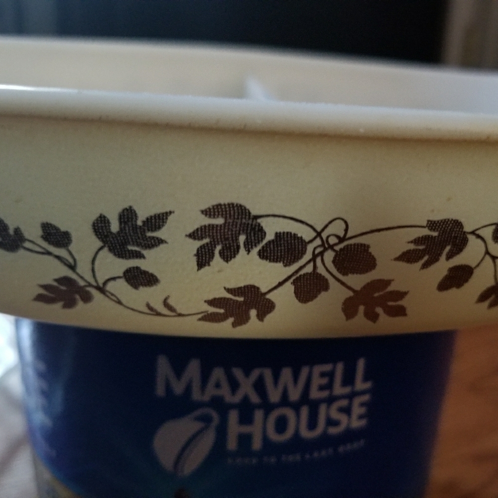 Very Rare pattern divided dish